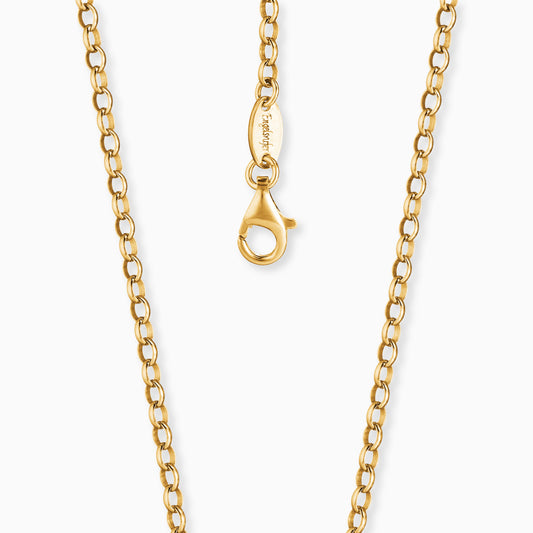 Engelsrufer Ankerkette in Gold